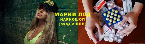 PSILOCYBIN Абаза