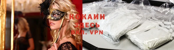 прущие грибы Абинск