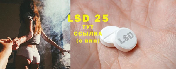 прущие грибы Абинск