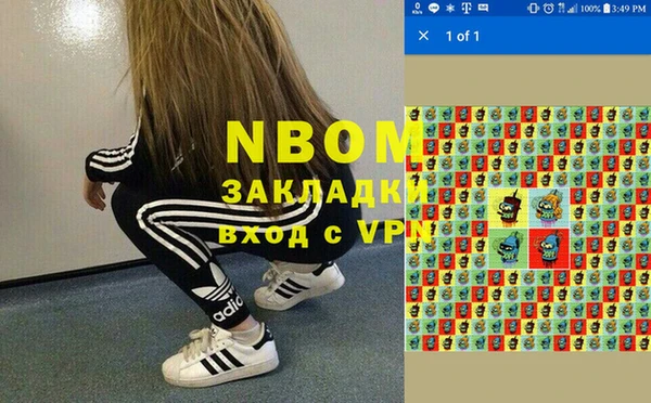прущие грибы Абинск