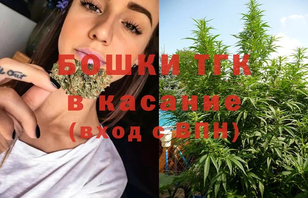 PSILOCYBIN Абаза