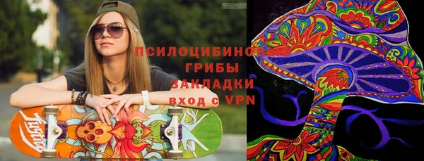 прущие грибы Абинск