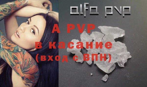 прущие грибы Абинск