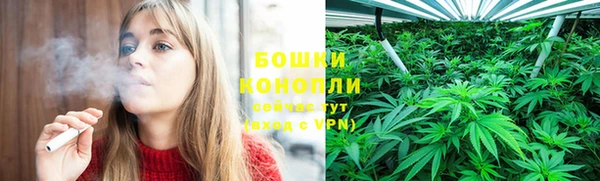 PSILOCYBIN Абаза